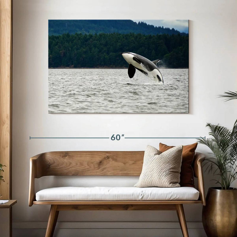 Crowle Orca Jumping, 32" H x 48" W