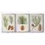Antique Pine Cones I - Toile tendue avec châssis sur mesure - 3 pièces-944148519-944148514