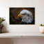 Aigle à tête blanche-108818607