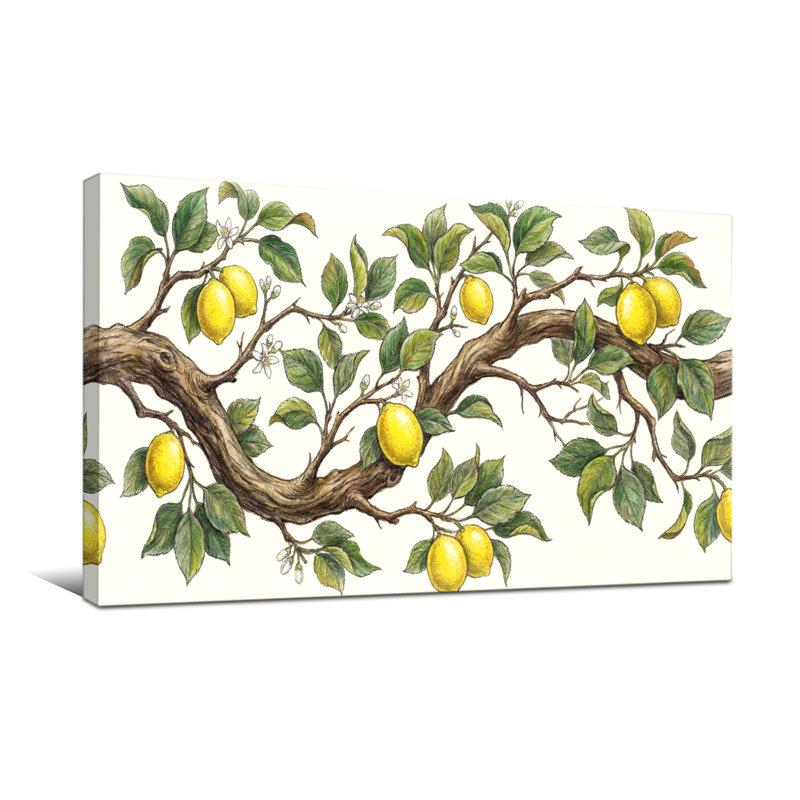 Plantes et fleurs branche de citronnier avec feuilles, H 24 po x l 48 po