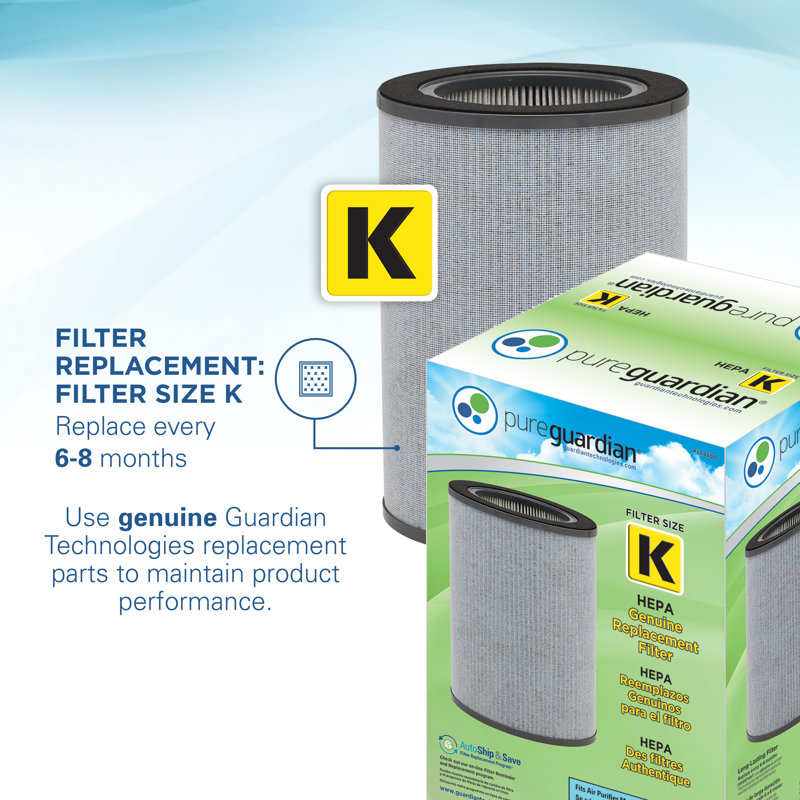 Large Room Allergen and Odour Reducing Air Cleaning System with HEPA Filter