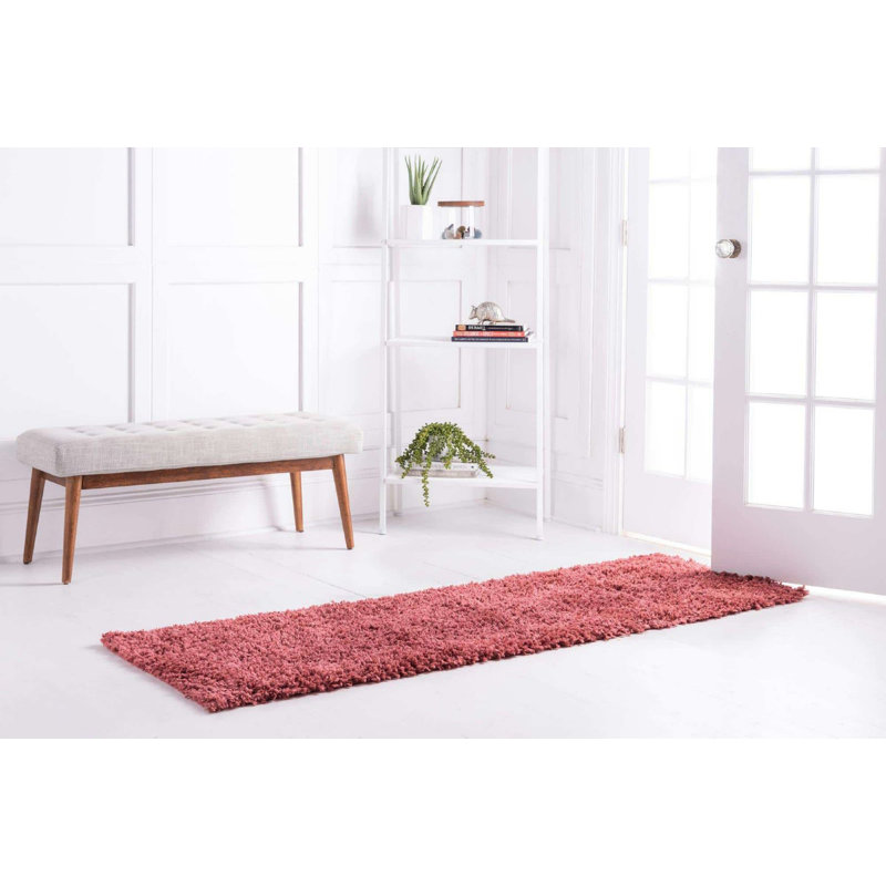 Carlosadrian Oriental Indoor Rug, Runner 2'7" x 10'