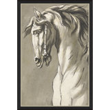 Study Of A Horses Head Giclee Print by John Micheal