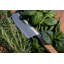 Amici Hollow Edge 6.69" Santoku Knife