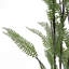 177.8cm Faux Fern Plant in Pot Liner-381055580