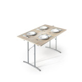 Folding Camping Table