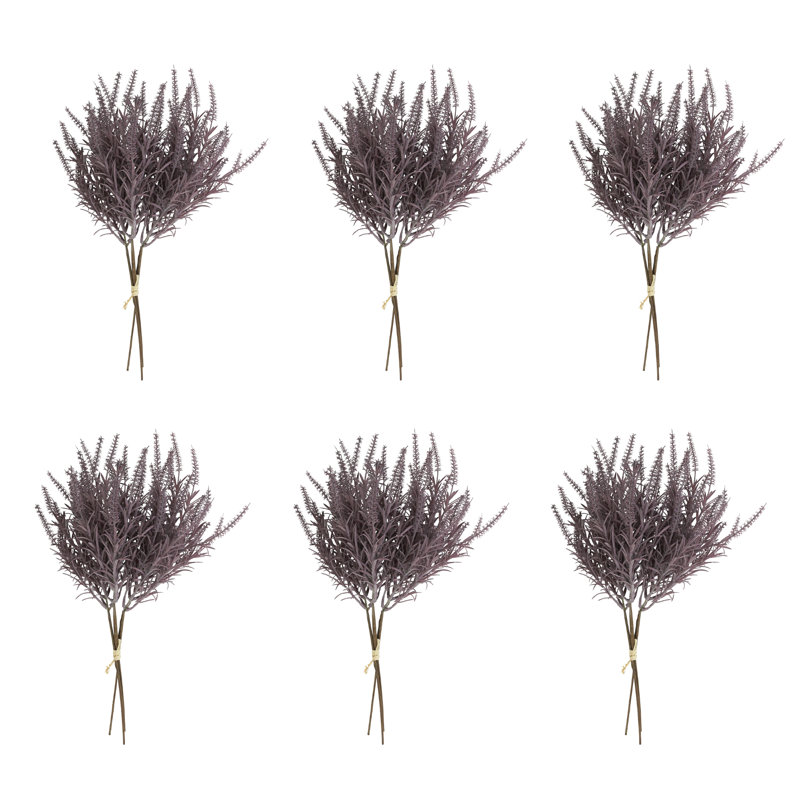 Fausse tige Astilbe, Mauve
