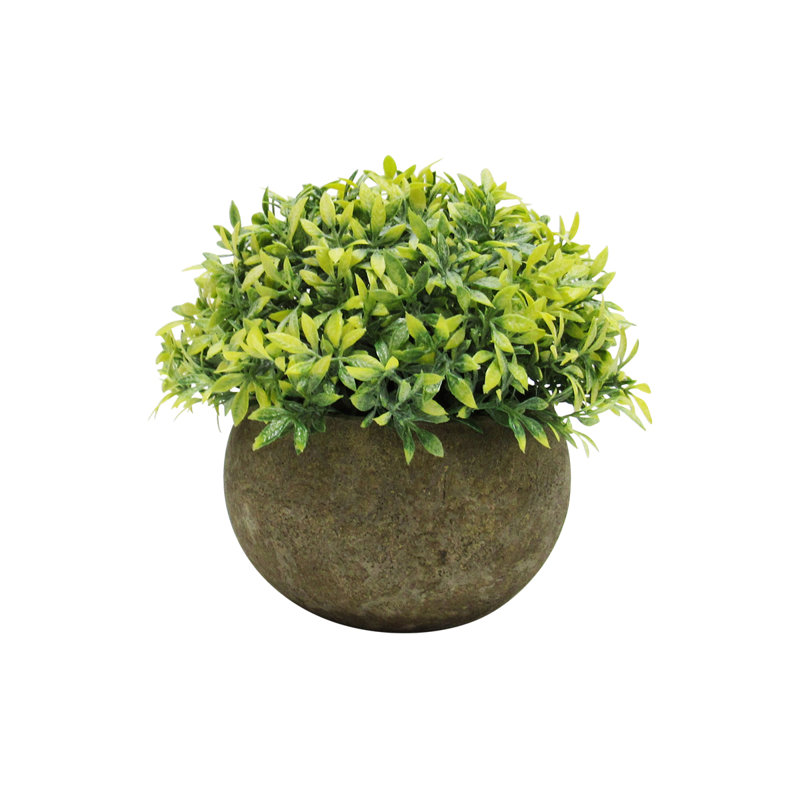 4.5" Artificial Mixed Greenery Topiary Small Plant in Pot