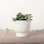 Edieth Cement Cachepot