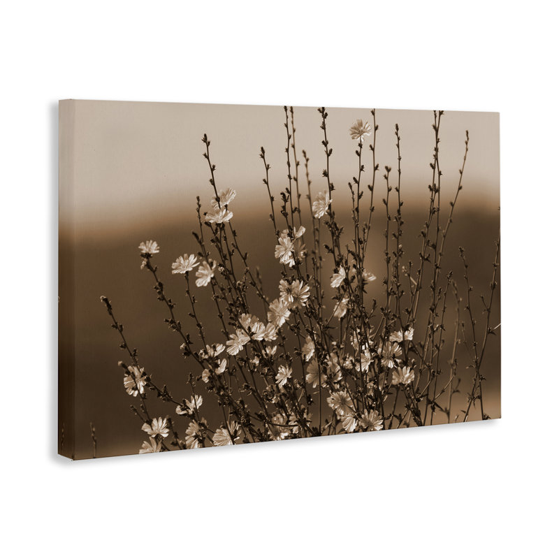  «Tiny Blooming Flowers», art mural sur toile par Nancy Crowell, H 20 po x l 30 po