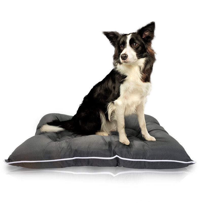 Lit de voyage pour animaux Brumfield, Petit (l 30 po x P 20 po x H 5 po), Bleu marine
