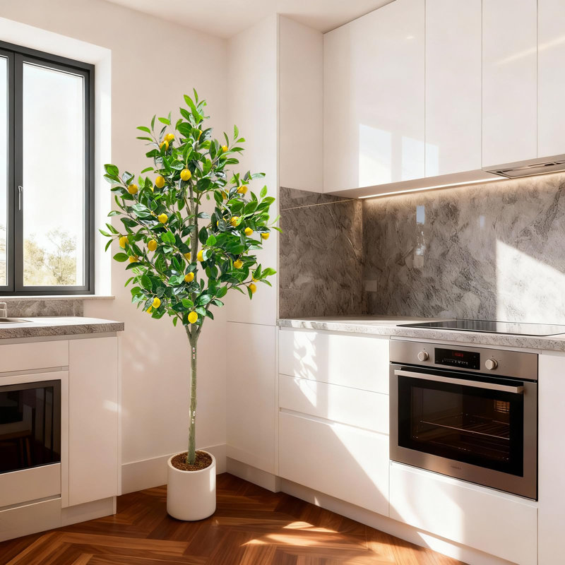 180cm Plant