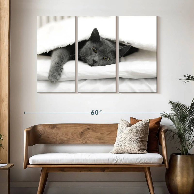 Chat paresseux, H 32 po x l 50 po