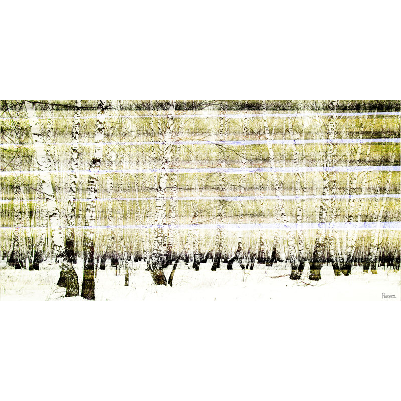 Parvez Taj - Wrapped Canvas Print, 30cm H x 61cm W x 5cm D