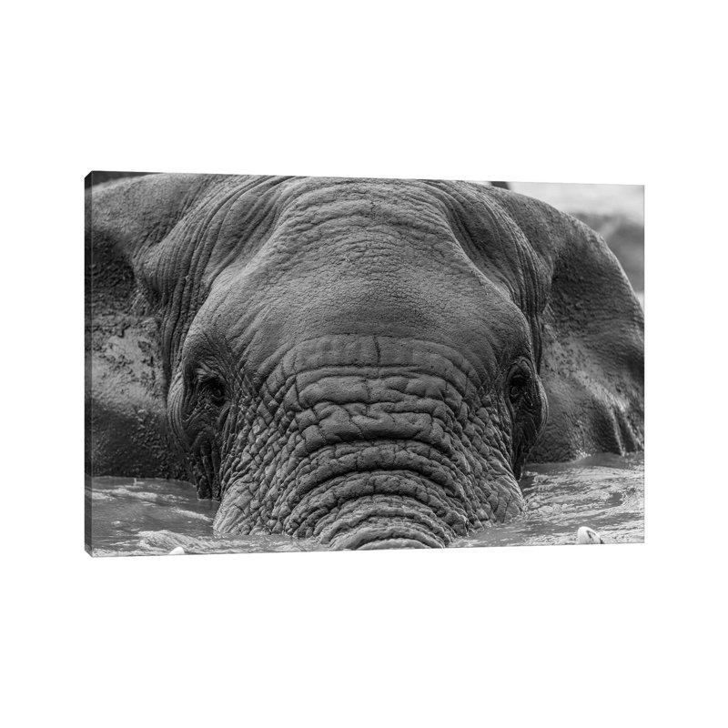 Elephant Partially Submerged by Anders Jorulf - Wrapped Canvas Print, 66.04 cm H x 45.72 cm W x 3.175 cm D