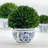 Preserved Arrangement in Pot-138814071