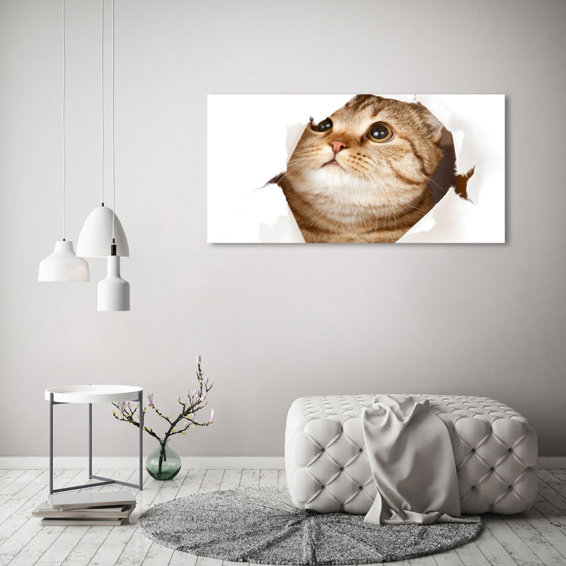 Cat - Wrapped Canvas Print