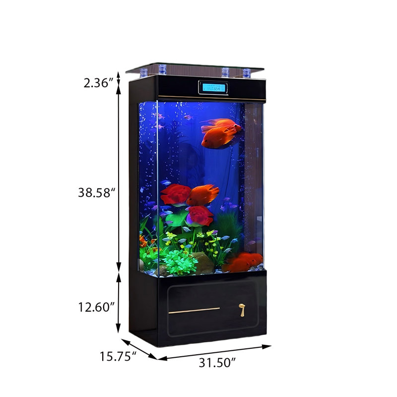Aquarium de luxe 31,5 po, 56.8 Gallon (53.54"H x 31.5"W x 15.75"D), Transparent/noir
