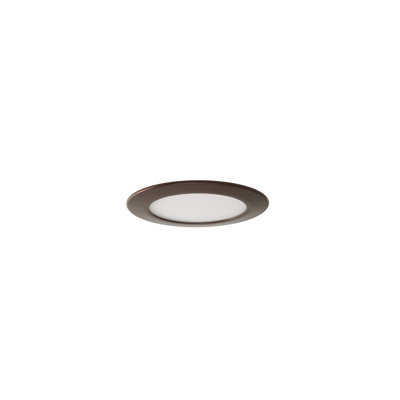 Aguanga Acrylic LED Flush Mount