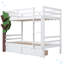 Lit superposé simple au-dessus de simple avec un décor d'arbre et deux tiroirs de rangement-1037954010