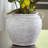 Ashly Vase-79585995