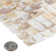 Conchella Square Natural 12" x 12" Natural Shell Mosaic Wall Tile