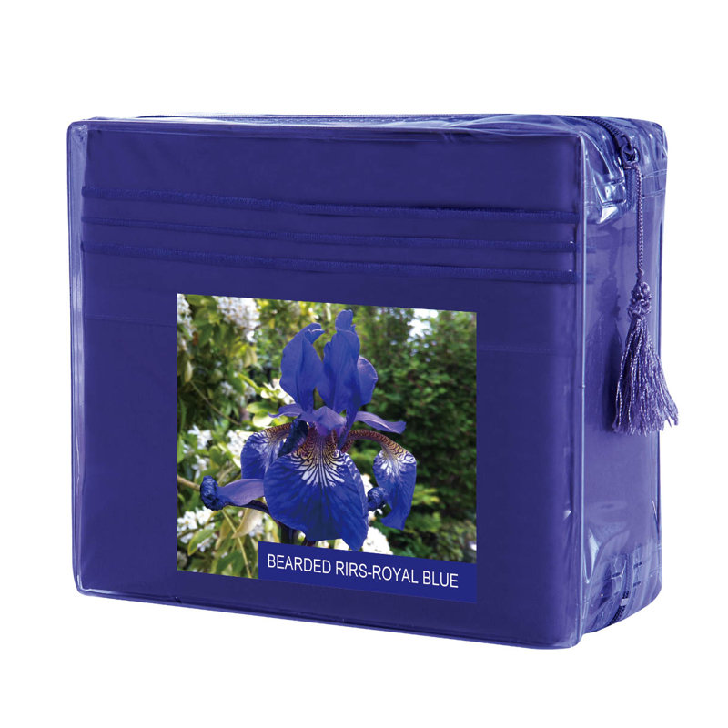 Sheet Set, Royal Blue, Full