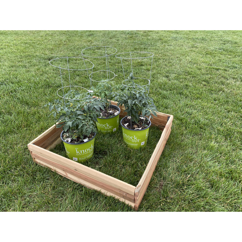 Lit de jardin surélevé en bois 3 pi x 3 pi