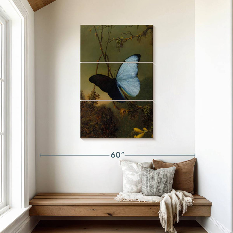 Brampt papillon bleu Morpho 1864-65