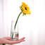 Vase de table en verre Despain-223302625