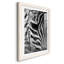Zebra Colt - Photographie avec cadre photo-1635737487-1635737485