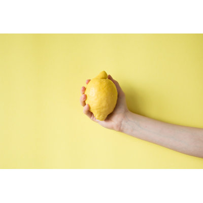 Lemon 1 Piece Wrapped Canvas Wall Art