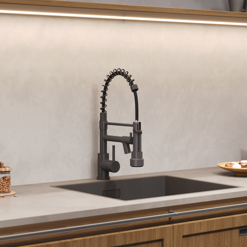 Breeins Kitchen Faucet Side Spray, Black