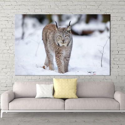 Print on Canvas
