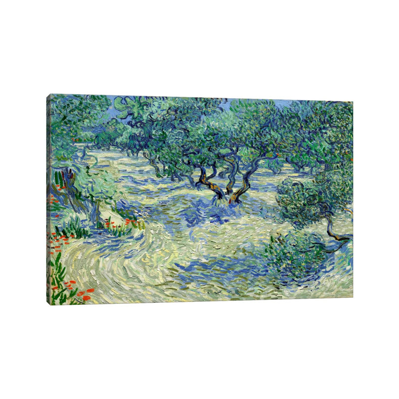 Olive Orchard by Vincent Van Gogh - Floater Frame Painting on Canvas, 66.04 cm H x 45.72 cm W x 1.91 cm D, No Frame