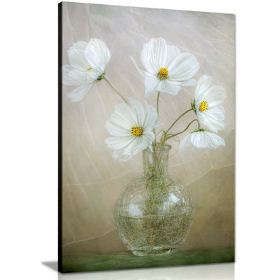 White Daisy Flowers - Wrapped Canvas Print