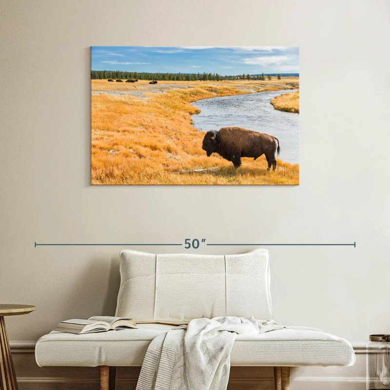 Bison du parc national Brampt, H 26 po x l 39 po