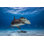 Grand marteau - photographie sur toile tendue