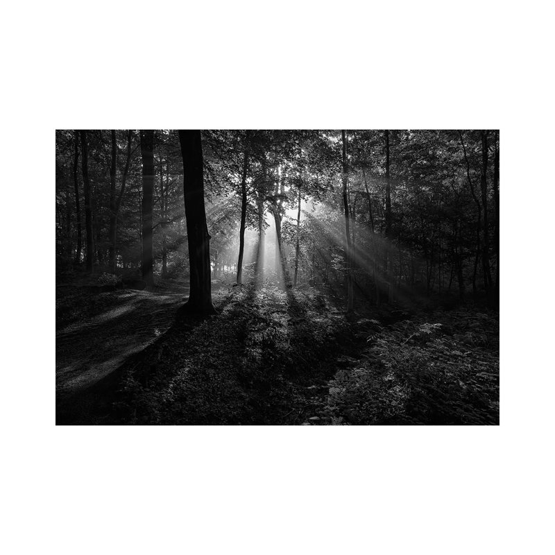 A Sunny Morning by Leif Londal - Wrapped Canvas Print, 20.32 cm H x 30.48 cm W