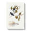 Little Kingfishers by Elizabeth Gould - Wrapped Canvas-55365093