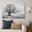 Chêne noir et blanc, art de paysage, photos de bureau, impression sur toile encadrée-132863385-132863388