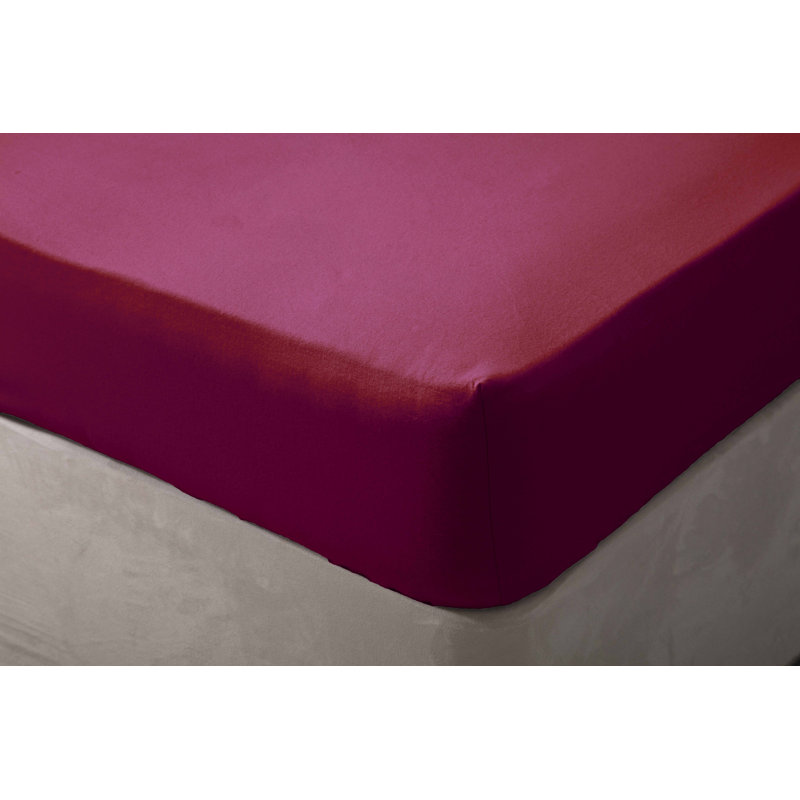 Brushed Cotton Range Flannel Fitted Sheet, Red, Single (3'), 15" Extra Deep