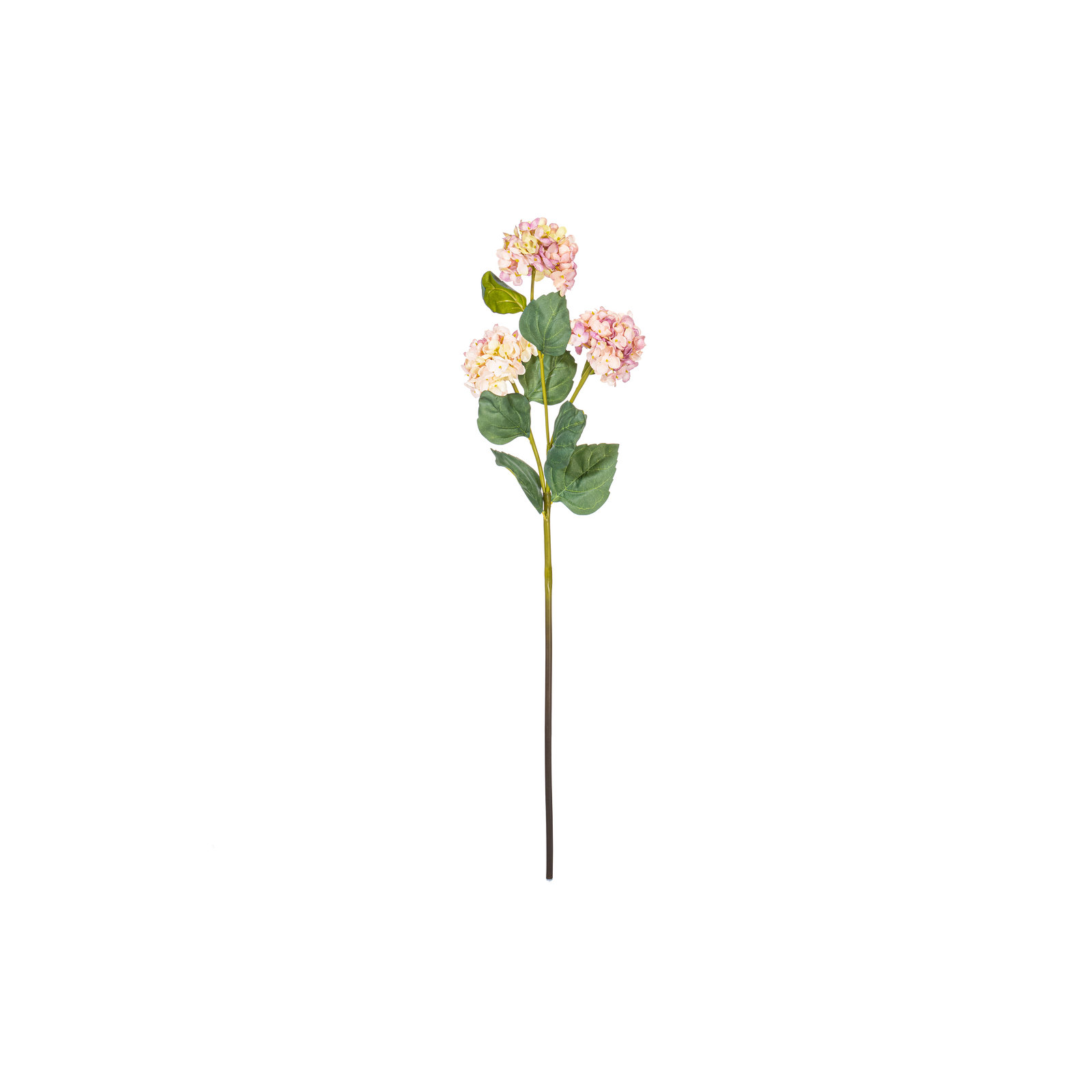 Hydrangea Stem, Lavender