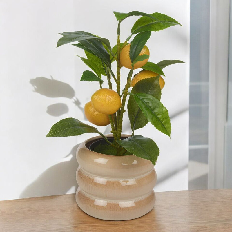 Ryhor Pot Planter, Black/White