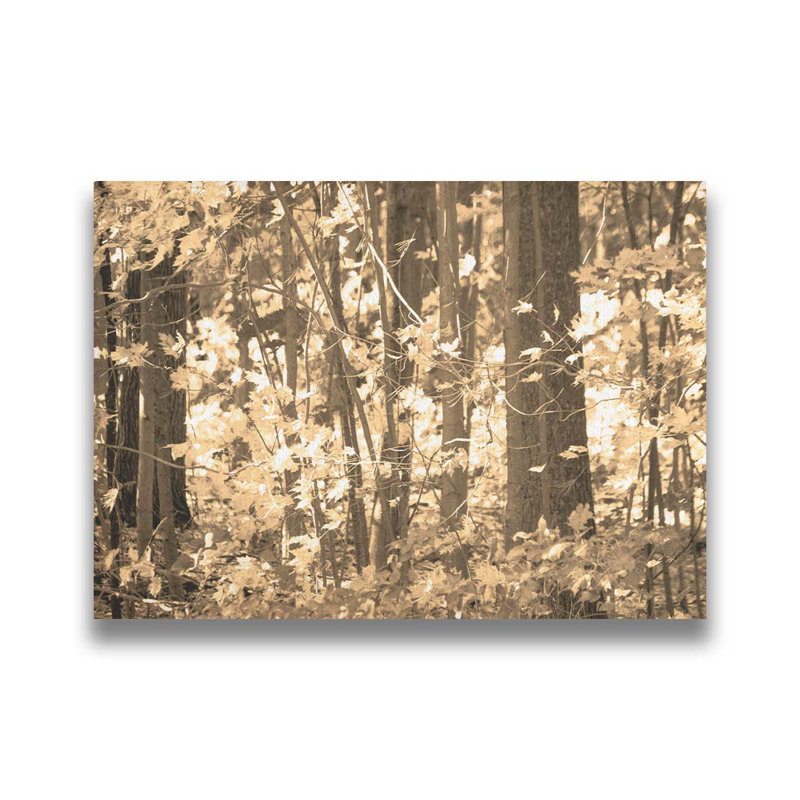Forêt d'automne par Hal Halli. Toile giclée sur toile tendue avec cadre flottant, H 30 po x l 40 po, Toile tendue