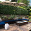 Parasol Brown