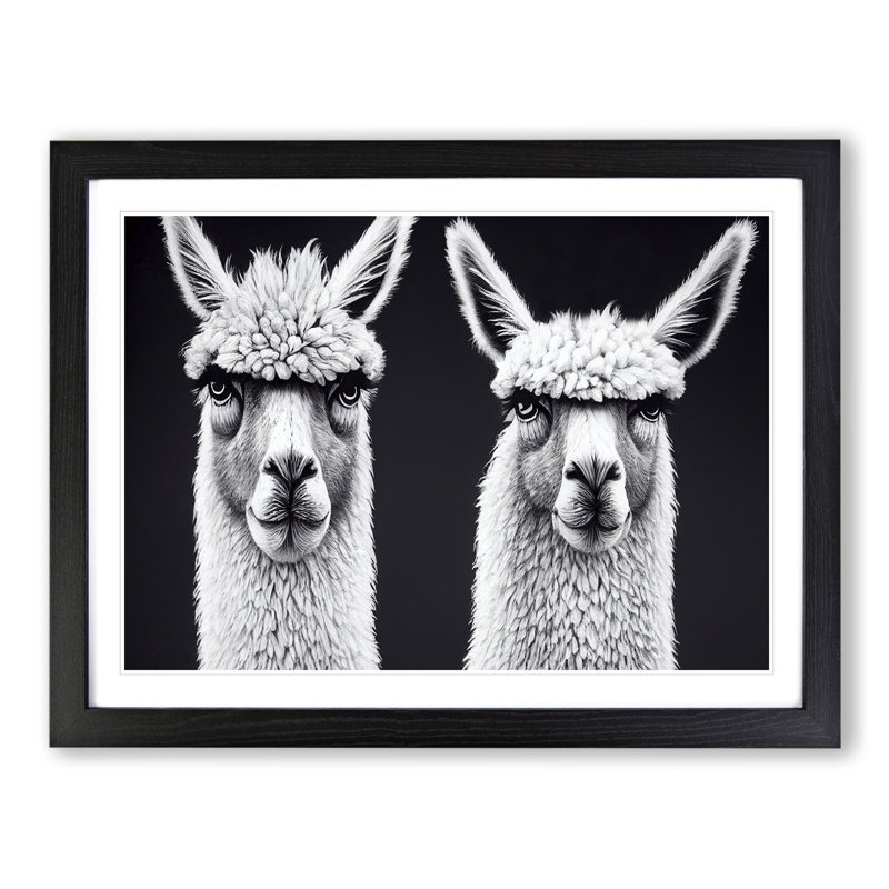 Two Llamas Vol.2 - Single Picture Frame Print, Black, 46cm H x 64cm W x 2cm D