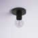 Roswell 1 Light Flush Mount