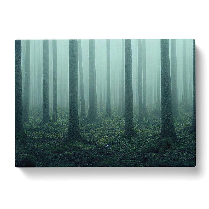 A Captivating Forest - Wrapped Canvas, 50cm H x 76cm W x 3cm D