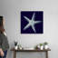 « Indigo shells IV » par vision studio-impression-538534987-538534988